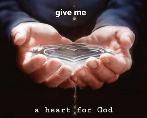 c97f6a21-aa84-4282-a649-511c2d7987aa