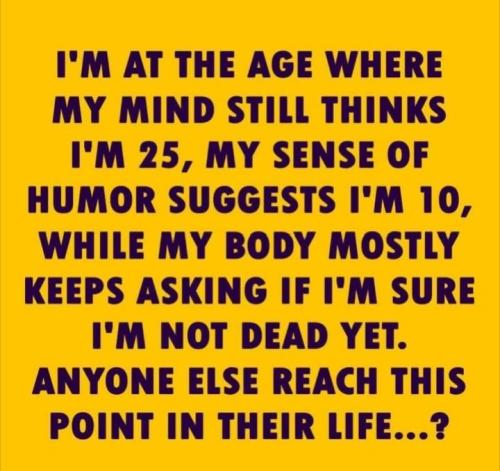 b9ab0e26-a850-4108-a022-663655b4ff0d