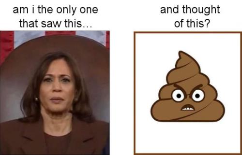 kamala harris179