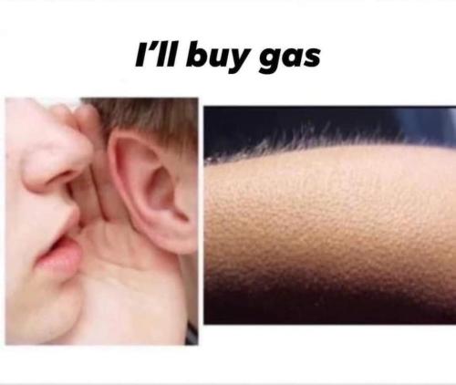 08F76B9E-08E7-4906-820F-5D9EADFFB687