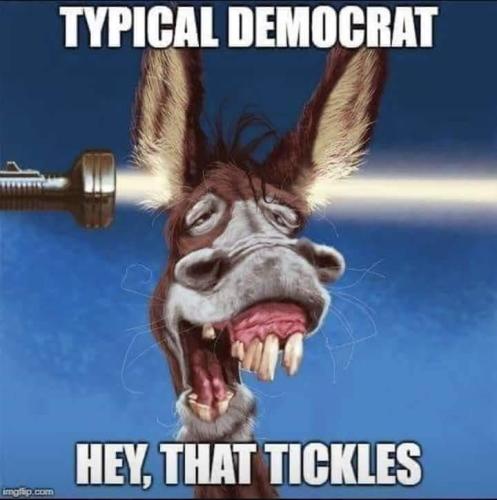 FB_IMG_1646683865520