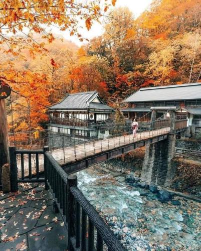 276139317_503312518114639_4082898606525299156_n