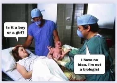 277254190_520614672766466_2000244106899560946_n