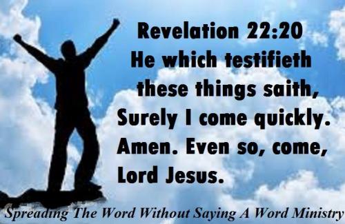 55597477_2233234640091988_3132907398067388416_n