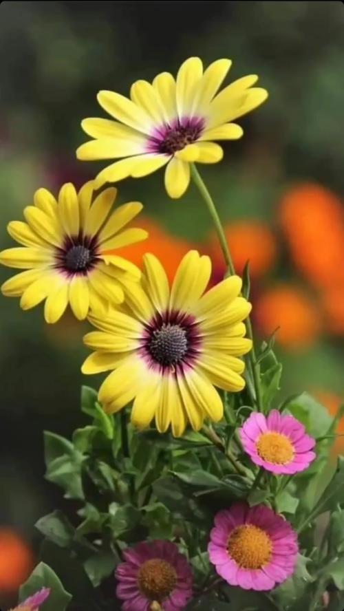 21:02:21 GMT-0600 (CST)