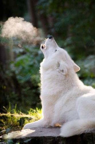 tumblr_82b7673fd89a3b1869f5b77b009350c4_6d3458f1_640