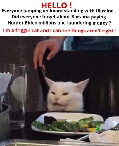 FB_IMG_1646420148326