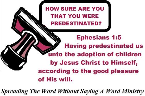 14138084_1017341065031691_45752853192321559_o