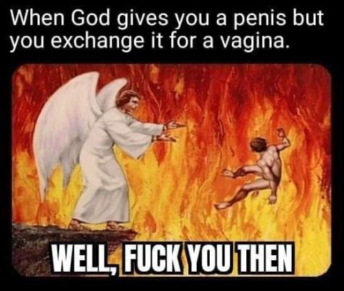 FB_IMG_1646561682566