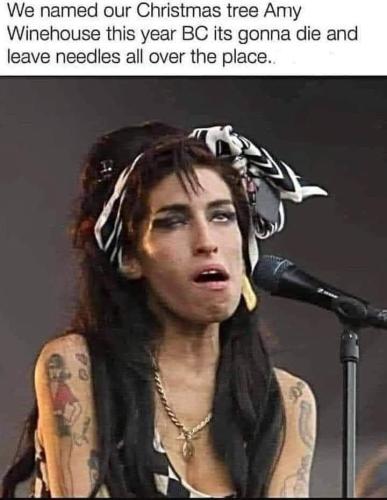 FB_IMG_1640053948794