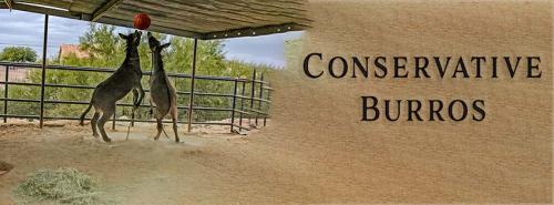 Conservative Burros