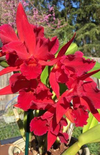 10:16:04 GMT-0600 (CST)