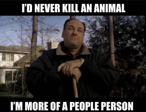 7a02df80-94da-47d7-92f5-072358f6bbc8