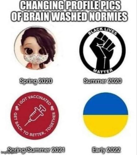 IMG-2ac35ded798604f6704fd77d661819d3-V