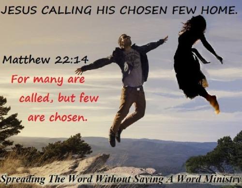 57155195_2275284869220298_5155513291388223488_n