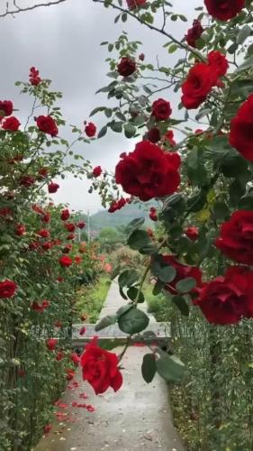 10:23:10 GMT-0600 (CST)