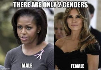 transgender152
