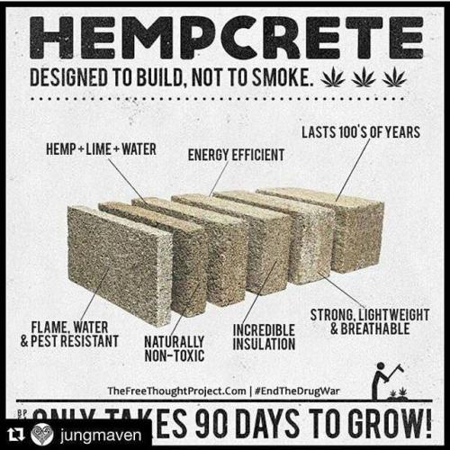 IMG_20220322_151350_045