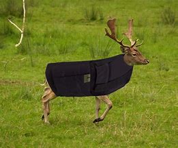 Deer kevlar 2