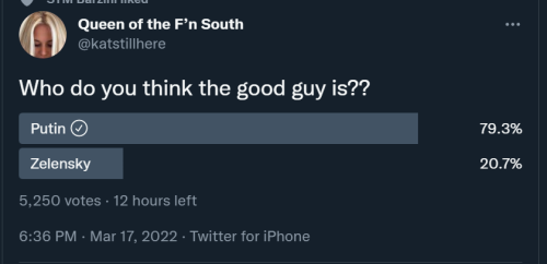 Putin or Zelensky 1