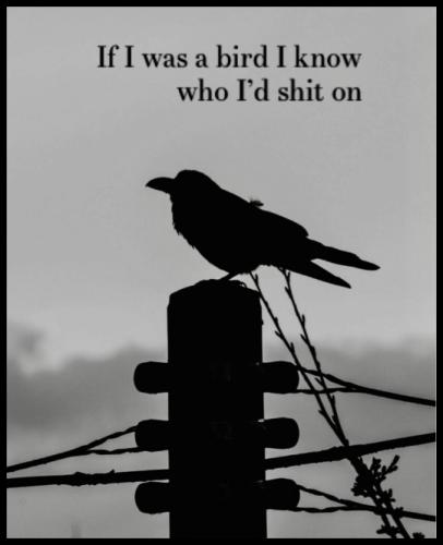 tumblr_7b459b6a02da0e0ff8eeec69e22d1a11_6c1bc083_540