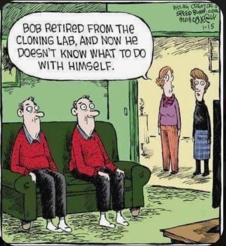 277098761_692128935468615_6650321394284283066_n