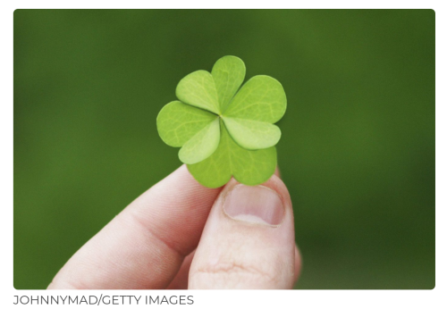 Screenshot_2022-03-17-12-05-03_kindlephoto-1427644