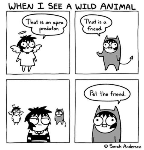 17:24:35 GMT-0500 (CDT).image