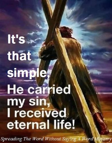 275394522_663421768043119_3343758506402873664_n