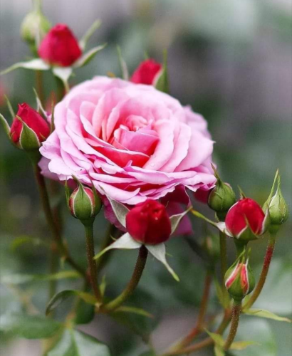 Screenshot_2022-03-15-21-37-19_kindlephoto-10547128032