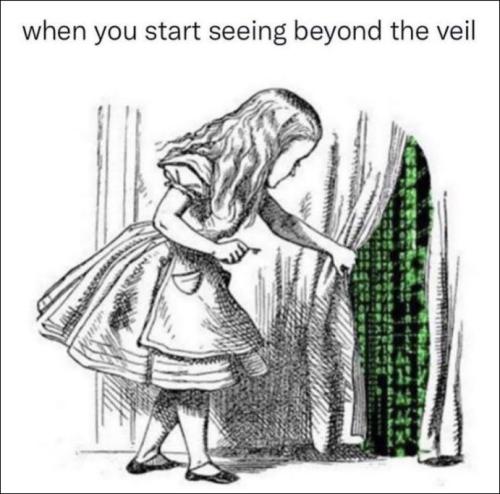 when you see beyond the veil