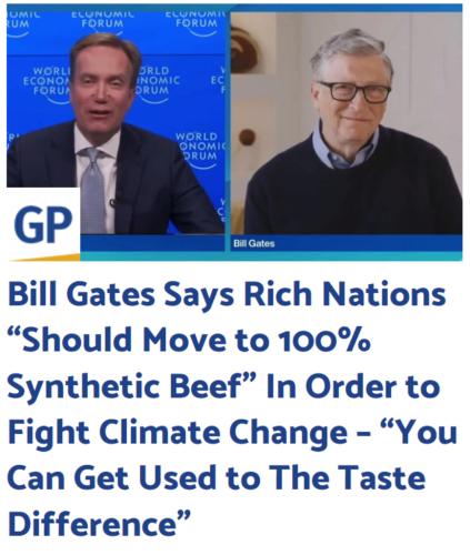 Bill Gates fake meat