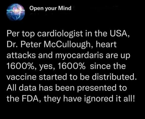 received_628172915090156_kindlephoto-3350871