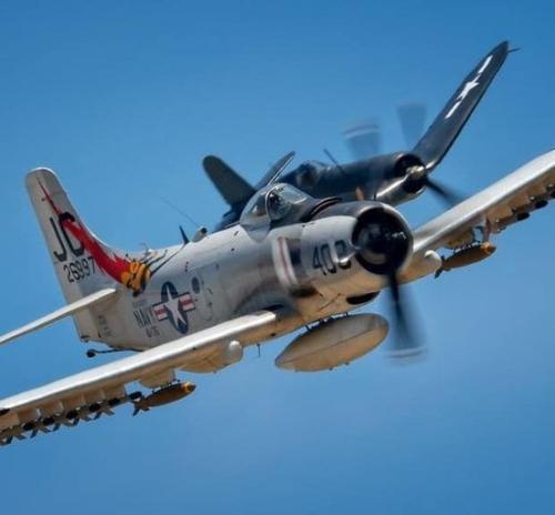 275568733_517639419790139_7837163569954885063_n