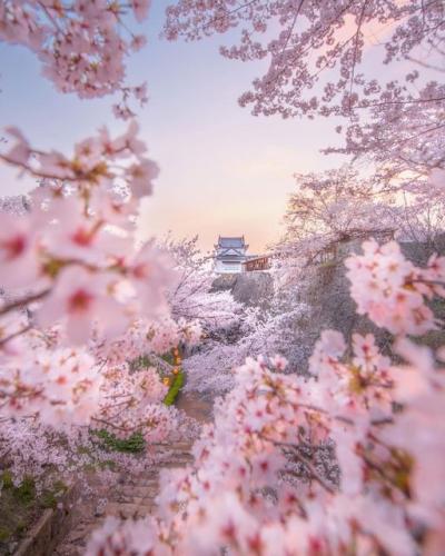 275742144_499348125240732_6269166350153452134_n