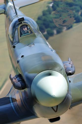 275326627_510857037065999_2009700550507095699_n