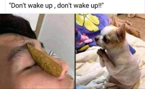 FB_IMG_1648102125194
