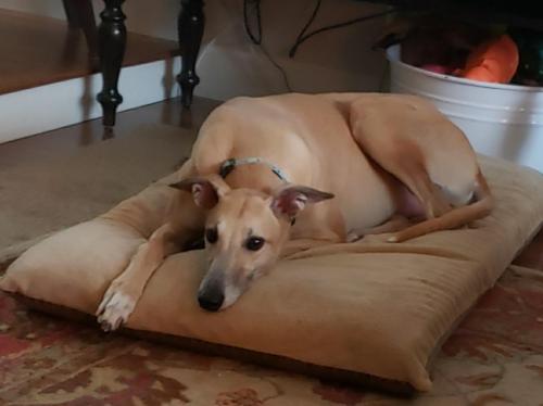 ca6cb097-9577-4b25-a8bb-e9a6e96692f3