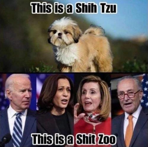 democrats494
