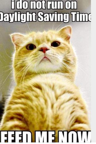 08:23:06 GMT-0400 (EDT)