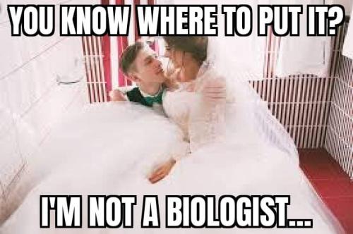 FB_IMG_1648179744089