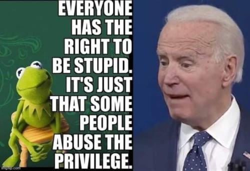 FB_IMG_1646290561752