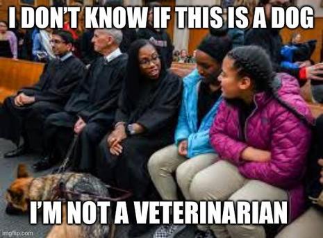 56fa4f62-9ad3-4560-b536-ca38cc18d5bb