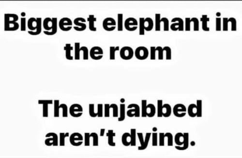 82dea3a4-a4bd-4d5f-a147-cf7a427a8ce1