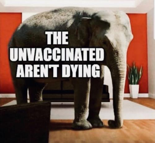 Unvaccinated are Healthy