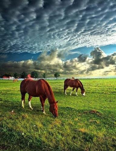 tumblr_efab34ba9afad3a10f8137319adfa154_8a655918_500