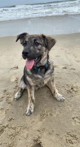 97BCDAFE-2901-450A-B354-3AA9D2C8036D