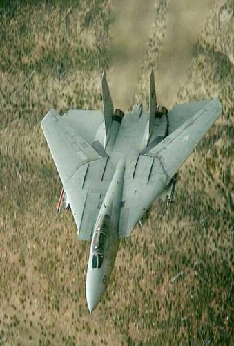 275088696_498180888484469_1076604726323448483_n