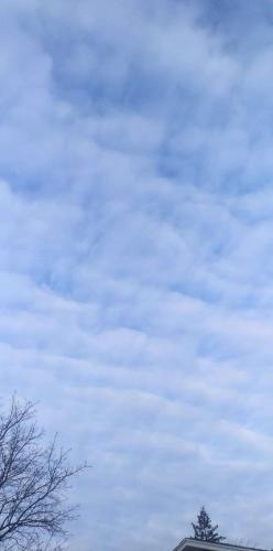 db636f44-c29e-46b9-9678-2cf8b22dd21a