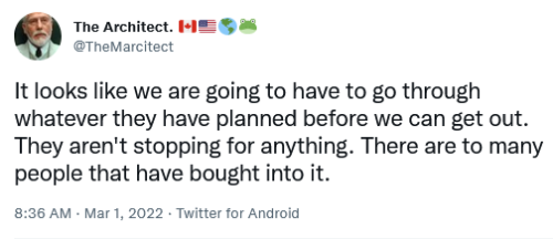 Screenshot_2022-03-01 The Architect 🇨🇦🇺🇸🌎🐸 on Twitter